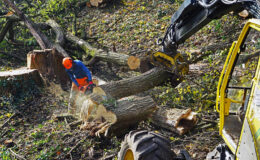 008 - und er starb im fruehen morgenrot
